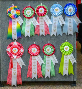 Something Red Award Ribbons