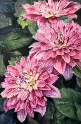 Dazzling Dahlias by Sherree Rodriguez