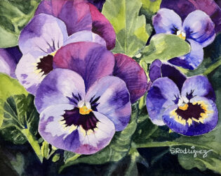 Window Box Delight by Sherree Rodriguez