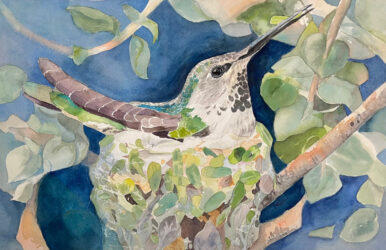 High Hopes by Sherree Rodriguez