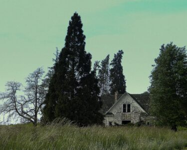Empty Nest II
