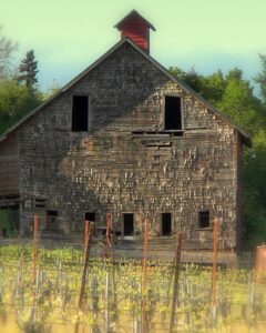 Spring Valley Barn