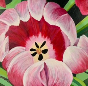 Spring Tulip 1