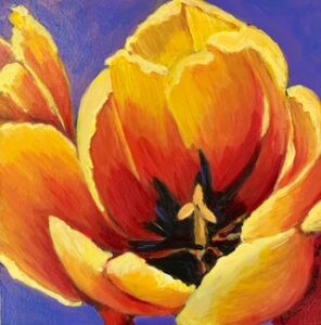 Tulip Time 4