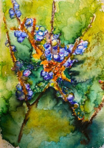 Ann Moore, 'Oregon Grape', Watercolor