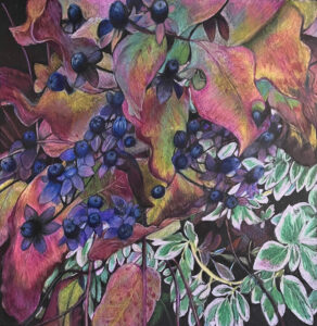 Carolyn Johnson-Bell, 'Tutsun Berries', Honorable Mention Colored Pencil on black paper