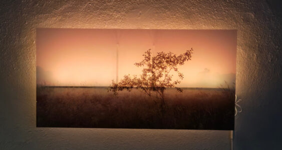 Kelly Thomas, 'Minto Brown's Solitary Morning', Backlit arcrylic